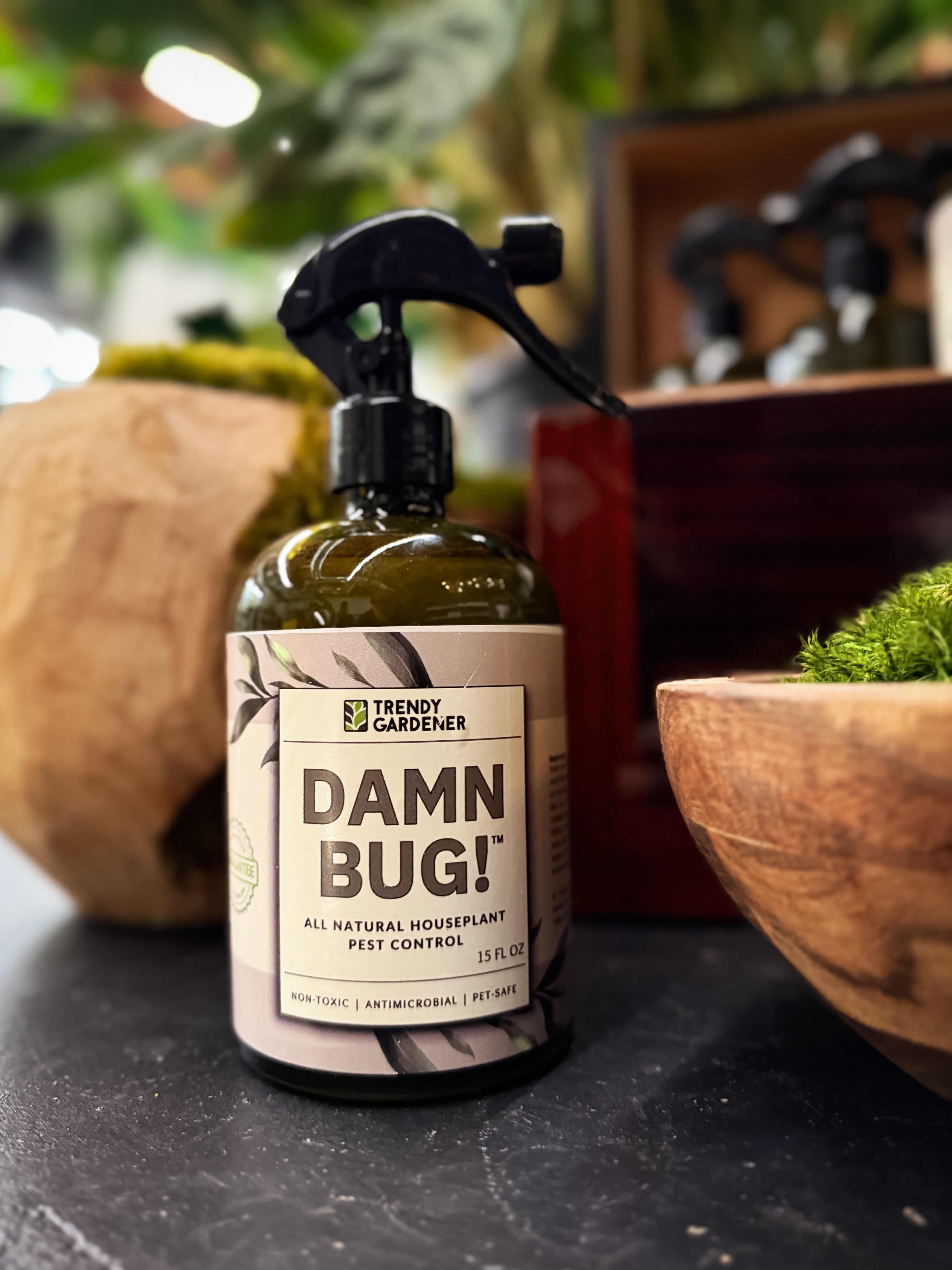 Pet-safe plant pest spray designed to safely kill gnats, spider mites, and mealybugs on indoor plants without harming cats or dogs. Damn Bug! is the best non-toxic pest control for houseplants, solving how to get rid of bugs on plants naturally and what’s safe to spray on leaves around pets. Essential for plant lovers with pets and indoor plant care routines.