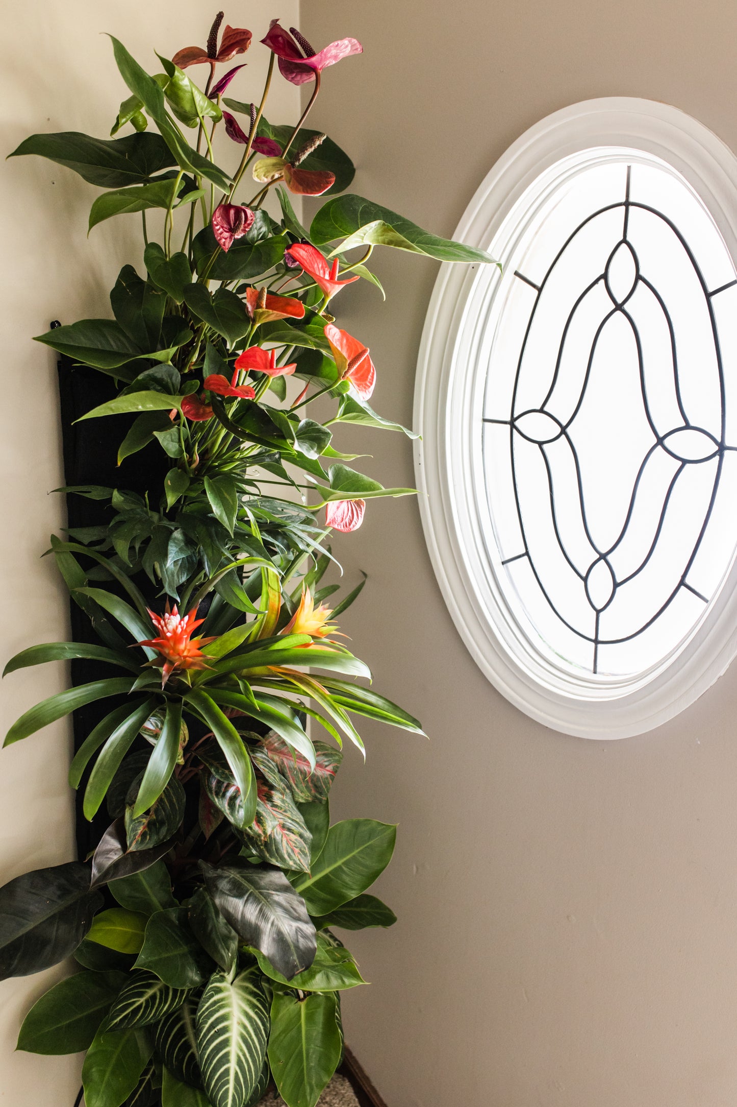 A compact living wall kit inside a residential home planted with blooming anthuriums, bromeliads, and other low maintenance low light plants in Des Moines.