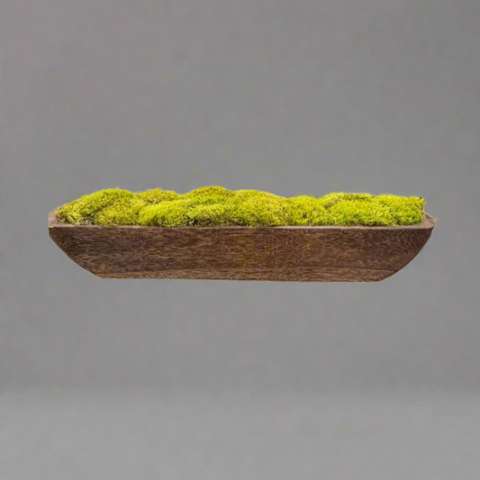Blackwood preserved moss bowl centerpiece for high end residential homes or modern office.