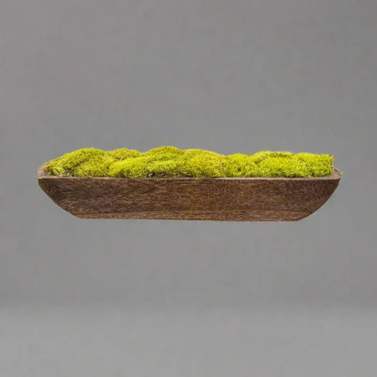 Blackwood preserved moss bowl centerpiece for high end residential homes or modern office.