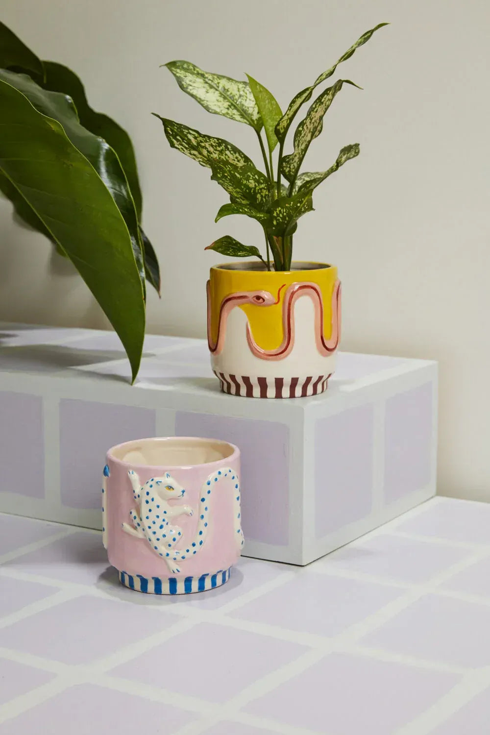 Decorative indoor plant in a yellow snake pot and pink cat planter on modern pastel display, Trendy Gardener.