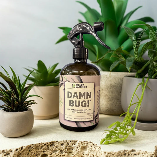 Non toxic, pet safe, anti-microbial houseplant pest spray effective at killing aphids, mealy bugs, thrips, scale, fungus gnats and other common house pests.