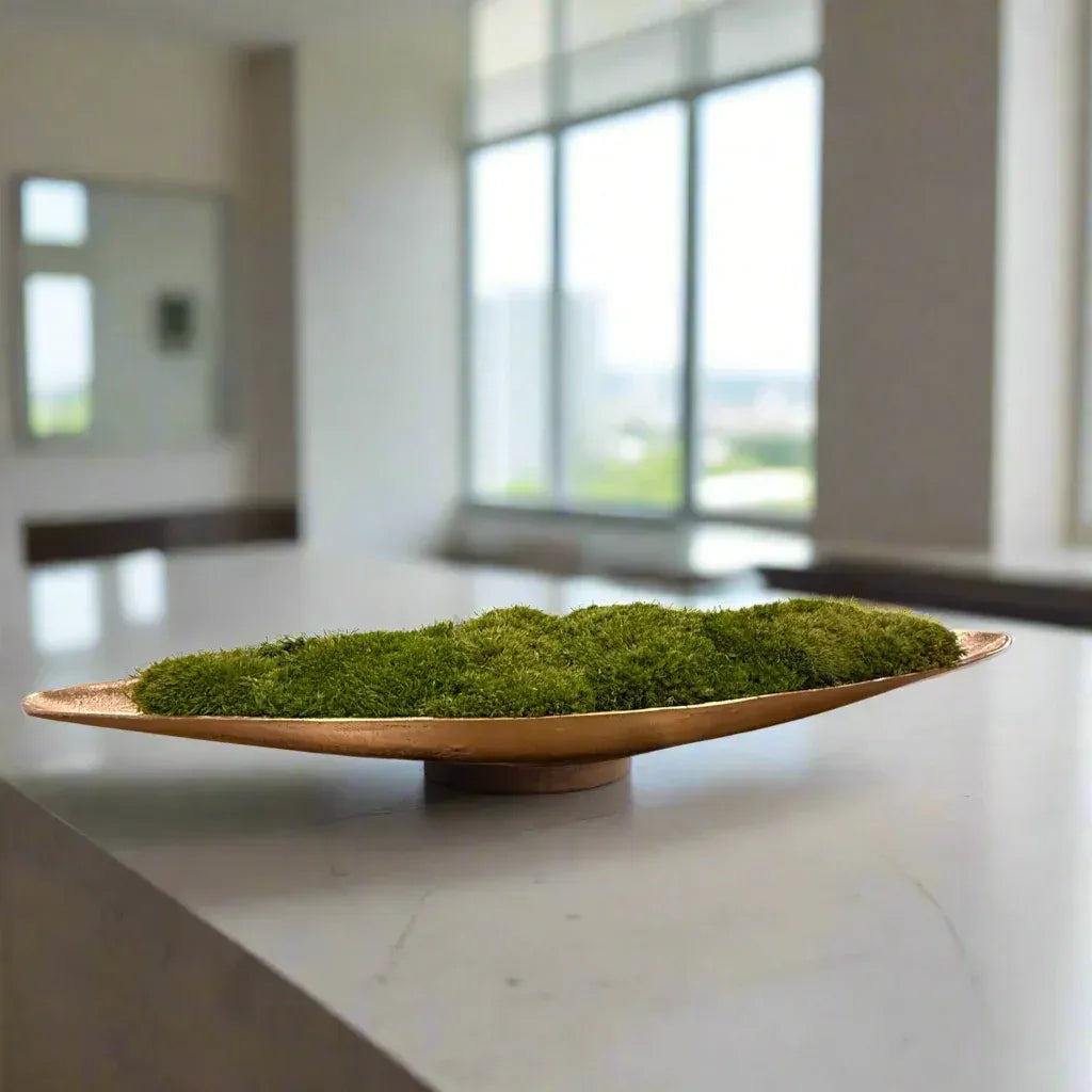 Extra Large metallic Moss Centerpiece on display in a contemporary office downtown Des Moines, Iowa.