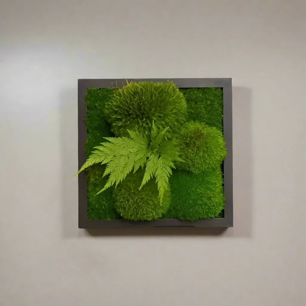 Fern & Forrest moss wall frame featuring preserved ferns and multiple moss varieties in layered green textures, set in a 12x12in hardwood frame.