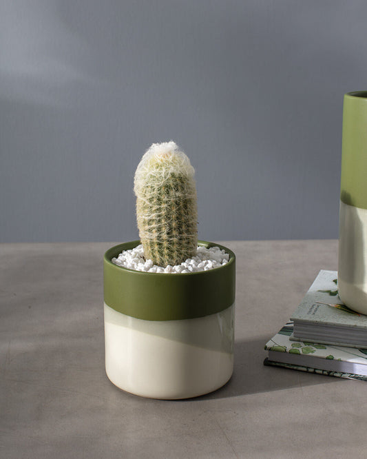 A small, elegant Lauris Collection glass vase on a bedside table, holding a fresh single rose, with soft morning light filtering through a nearby window, illustrating its perfect size for intimate spaces.