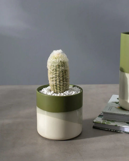 A small, elegant Lauris Collection glass vase on a bedside table, holding a fresh single rose, with soft morning light filtering through a nearby window, illustrating its perfect size for intimate spaces.