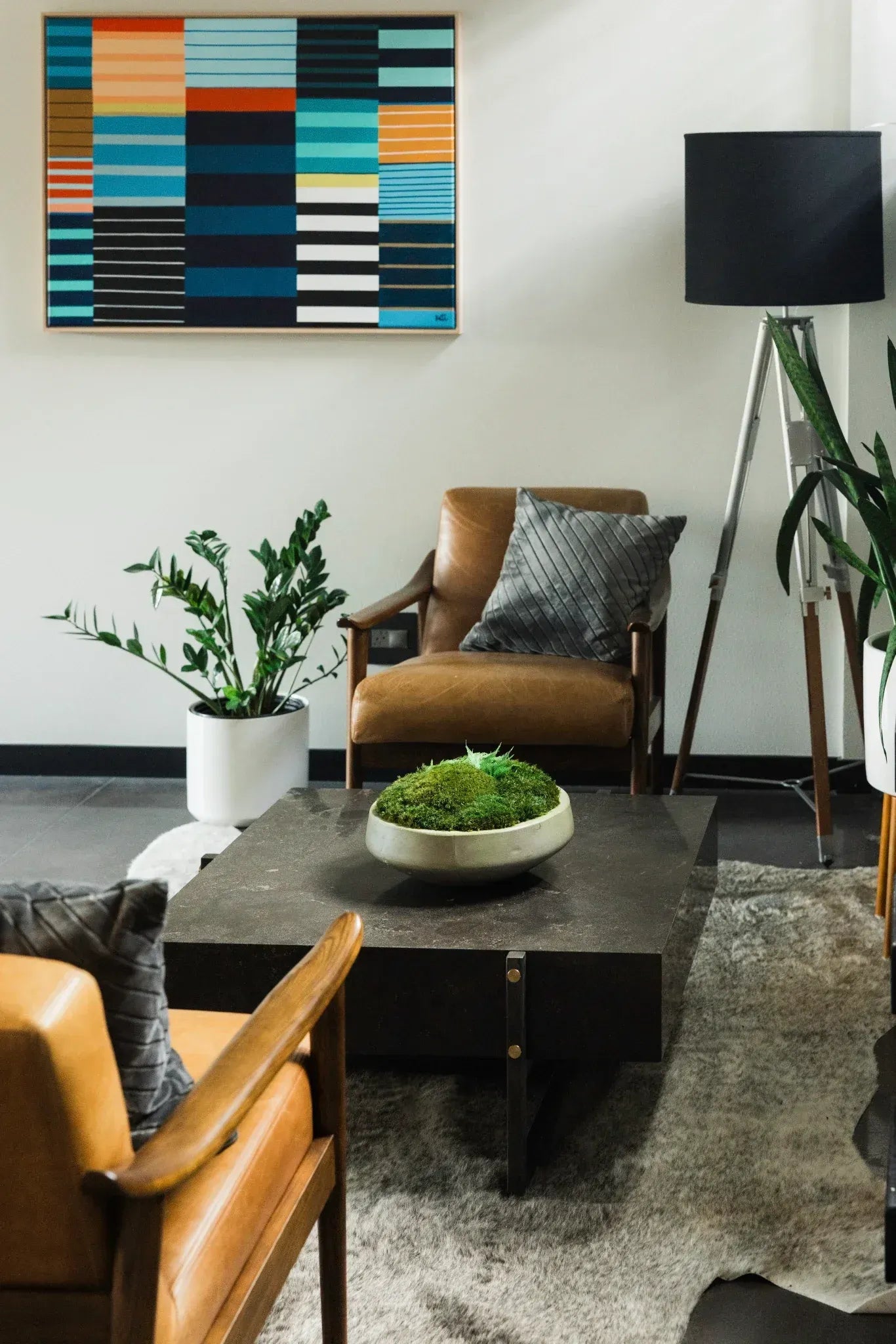 Modern living room with brown chairs, a coffee table, ZZ plant with a modern planter, and decorative concrete bowl with preserved moss.
