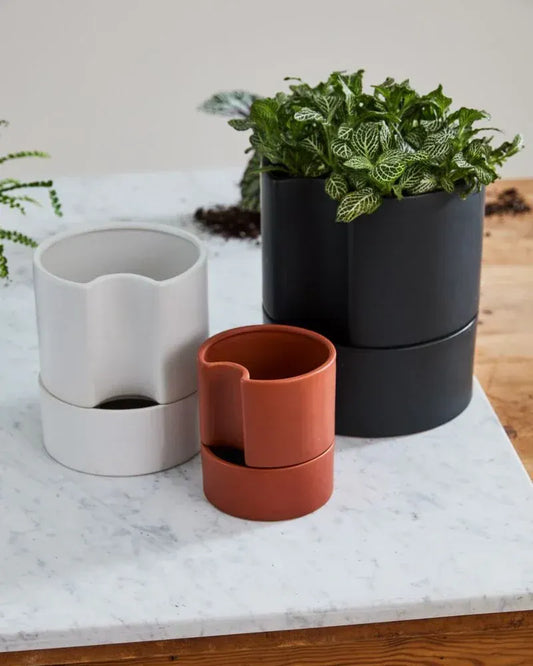 Array of Jett Pots in various sizes from small to large, showcasing color options white, gray, and black on a wooden shelf.