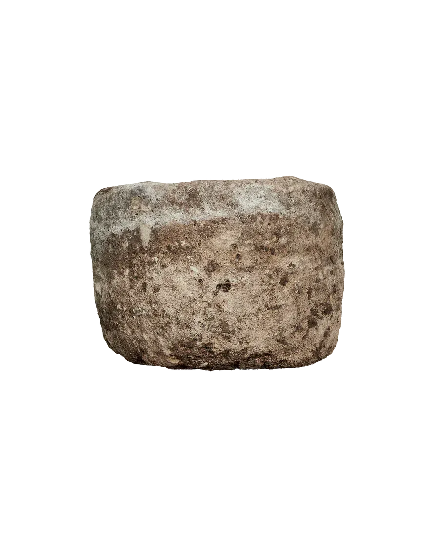 Rustic round limestone trough planter for biophilic interior decor by Trendy Gardener