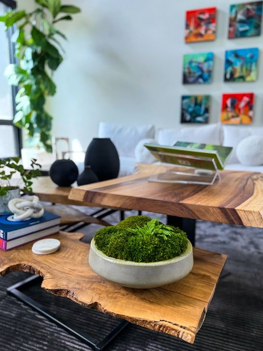 Contemporary living space showcasing a tiered live-edge coffee table topped with a concrete preserved moss bowl, ceramic vases, and design books, surrounded by plush seating and bold abstract art, ideal for interior plant and biophilic design inspiration. Luxury plant styling for modern interiors.