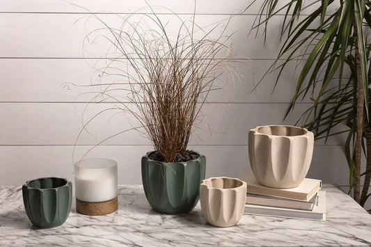 Green and Off-white indoor plant pot, ideal for air-purifying plants or succulents.