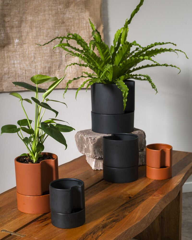 Hands planting a peace lily in a gray Jett Pot, illustrating the simple setup and use of the self-watering system. Buy Plants and Pots online Trendy Gardener.