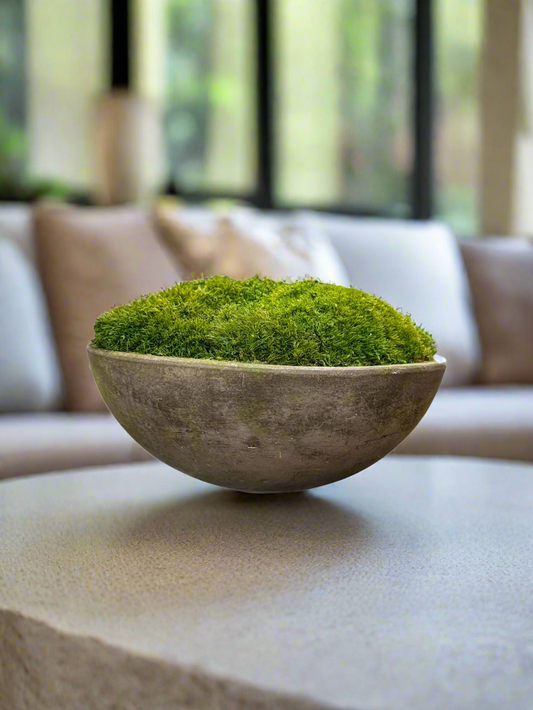 Preserved moss concrete bowl centerpiece for indoor plant decor, moss bowl styling, modern biophilic design, and residential plantscaping.