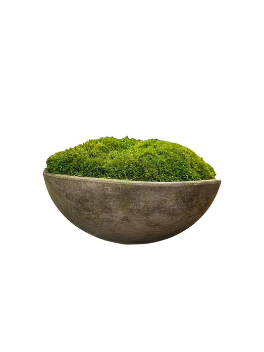 Round smooth concrete bowl with preserved lush green mood moss.