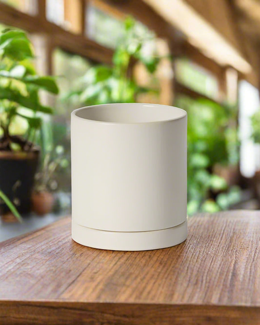 Crisp white Romey pot, offering a clean and sleek look for indoor gardening enthusiasts in Des Moines, Iowa, versatile for any plant type.