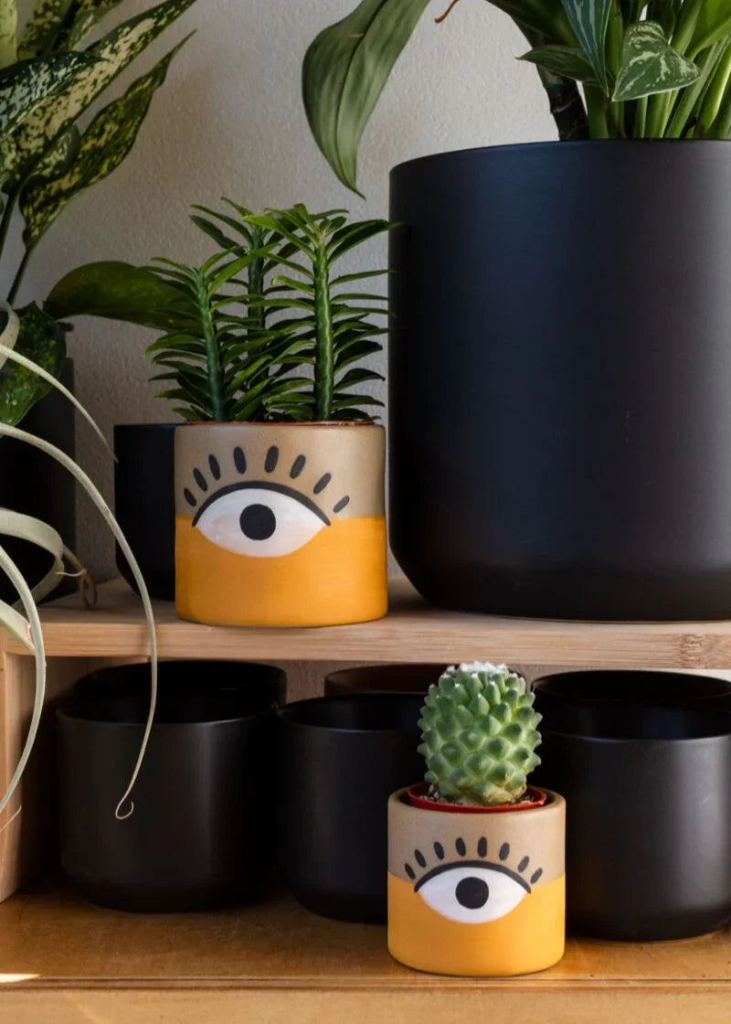 The Vision Pot, artistically adorned with an eye motif, displayed on a wooden desk surrounded by books and greenery, enhancing a creative workspace. Buy plant accessories online at Trendy Gardener.