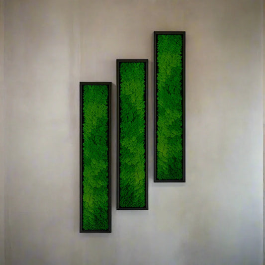 Elegant tall moss wall art panels featuring preserved moss in deep green hues, perfect for office plant design, residential plant design, and biophilic interiors.