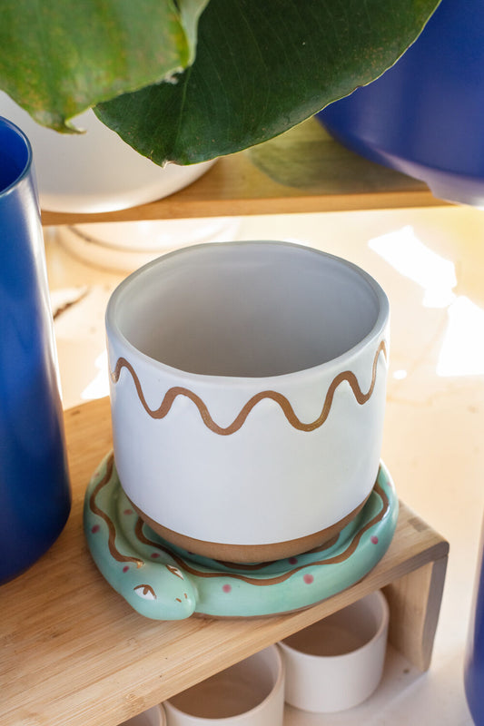 A decorative 4” ceramic pot with an abstract brown wave pattern, resting on a sculpted snake-shaped saucer in pastel green.
