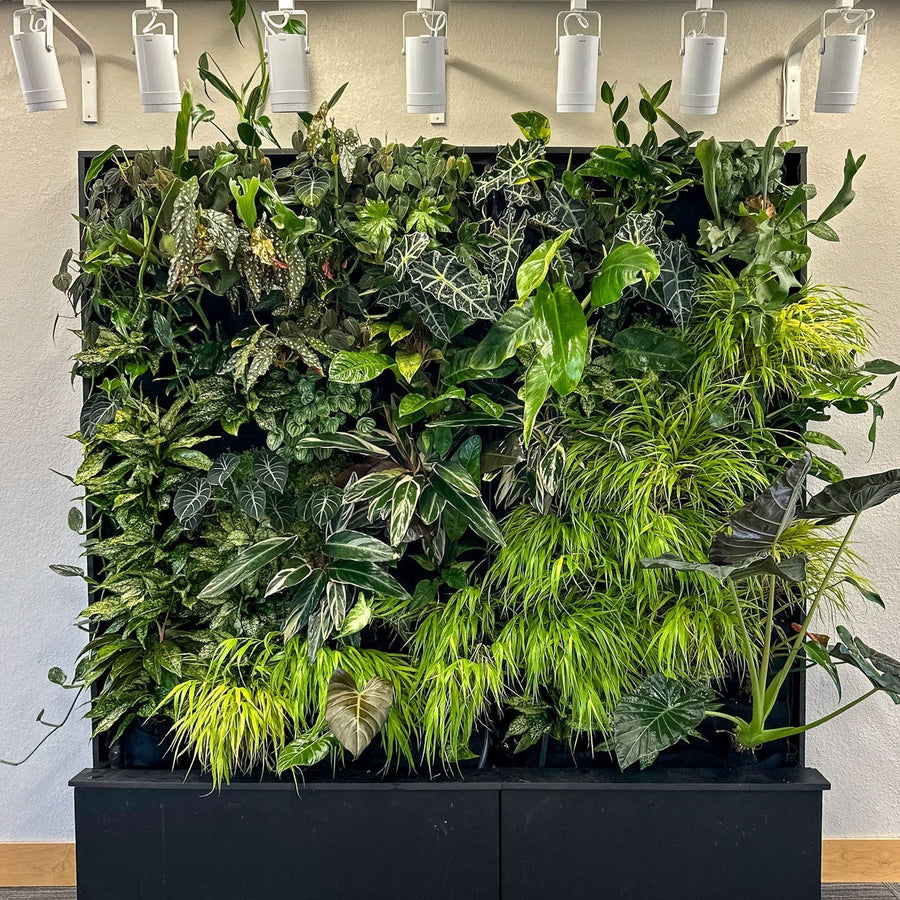 Living wall of tropical foliage in a black frame, lit by eight adjustable track spotlights, above two black base planters in a clinic seating area.