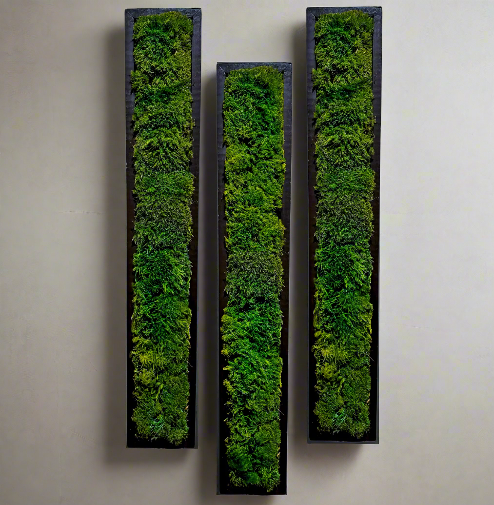 Elegant tall moss wall art panels featuring preserved moss in deep green hues, perfect for office plant design, residential plant design, and biophilic interiors.