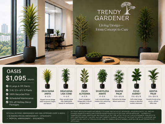 Trendy Gardener Oasis commercial plant rental package featuring large office plants, recycled pots, scheduled maintenance, and biophilic design for modern workplaces in Des Moines.