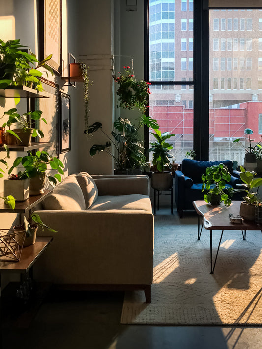 A mid-century modern living room Showcasing Vining Pothos, string of hearts, cascading down the wall next to earth, toned artwork, and several other tropical plants on a wooden coffee table