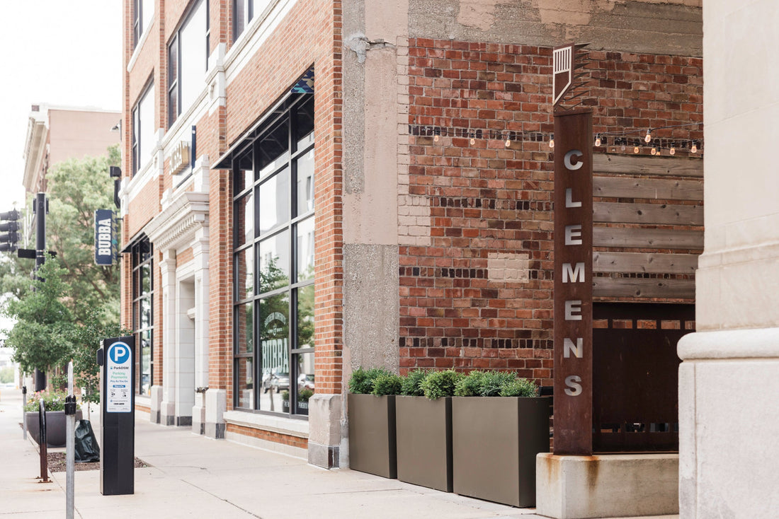 Downtown Des Moines office interior with professional plant design and maintenance featuring modern planters, healthy indoor plants, and biophilic design.