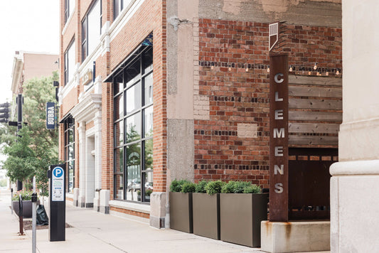 Downtown Des Moines office interior with professional plant design and maintenance featuring modern planters, healthy indoor plants, and biophilic design.