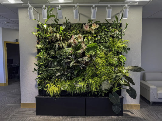 Indoor vertical garden with various lush green plants and overhead lighting.