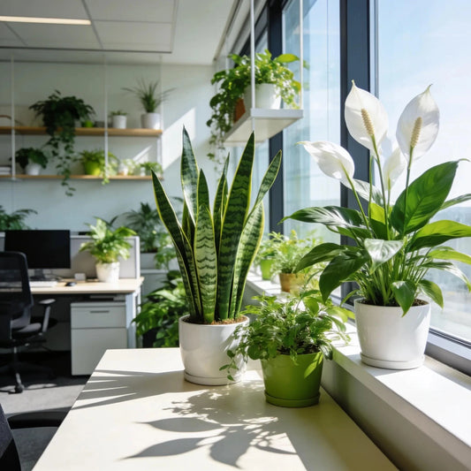 Indoor plantscaping with lush houseplants enhancing workplace aesthetics