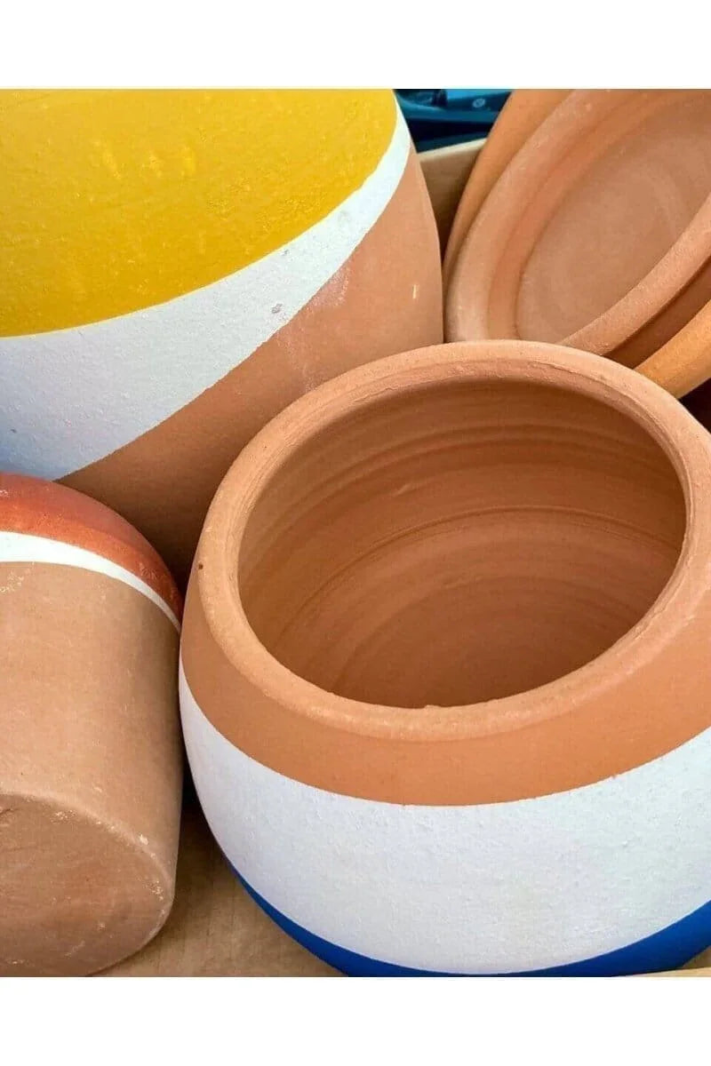 Plant Care + Accessories - Trendy Gardener