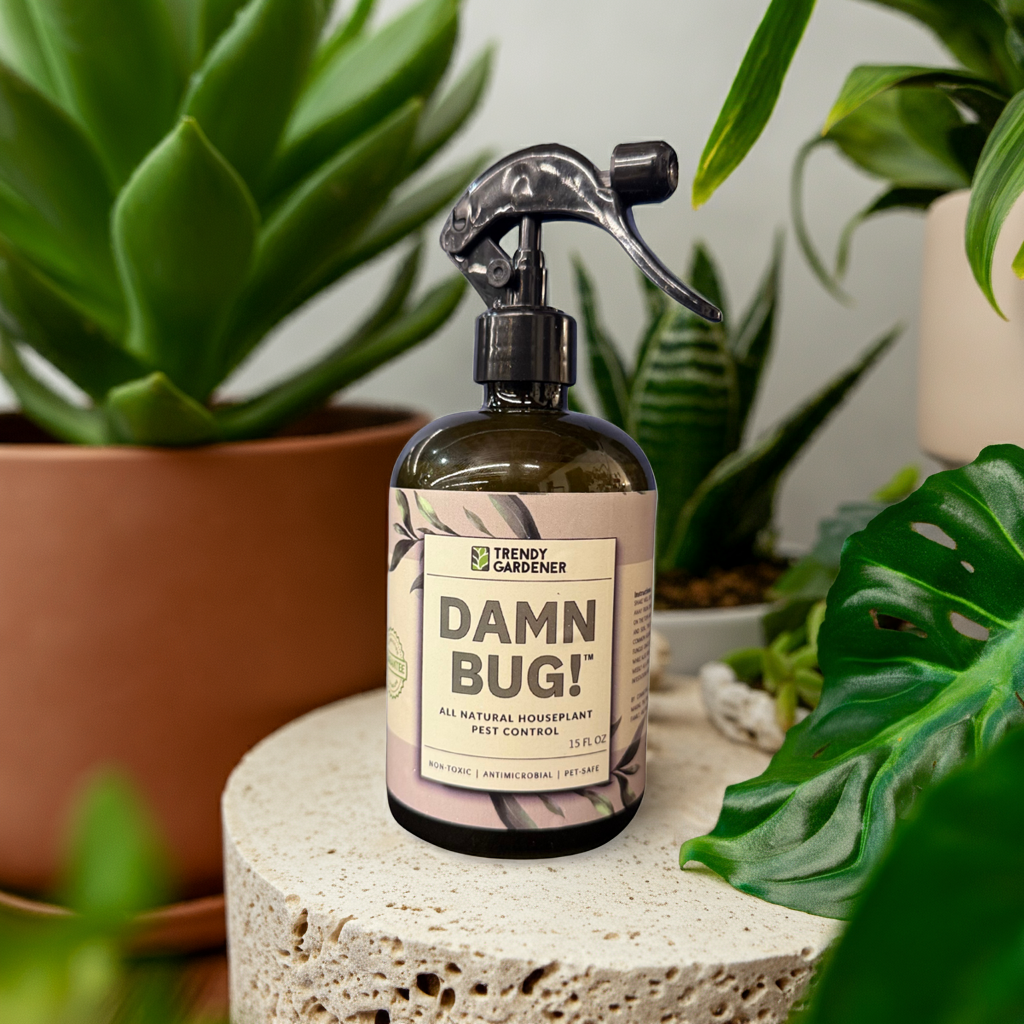 A recycled glass bottle of Damn Bug, organic indoor pesticide 100% dog safe, 100% cat safe, 100% bird safe 