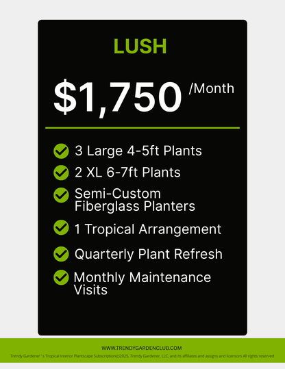 Tropical Interior Plantscape Subscription | Plant Rental Packages