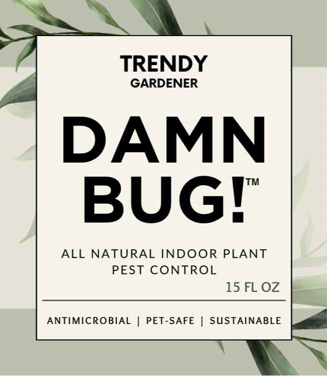 Damn Bug! All Natural Houseplant Pest Control