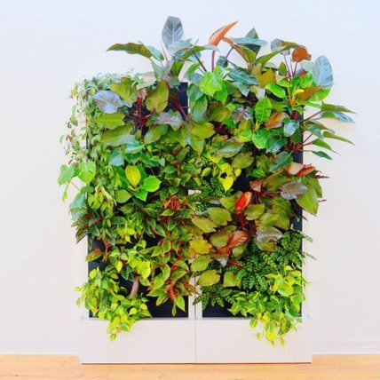 33 Pocket Free-Standing Living Wall System-Garden Supplies/Accessories-Trendy Gardener