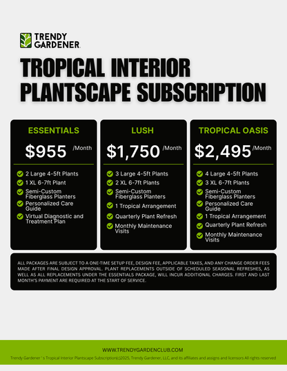 Tropical Interior Plantscape Subscription | Plant Rental Packages