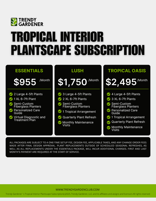 Tropical Interior Plantscape Subscription | Plant Rental Packages