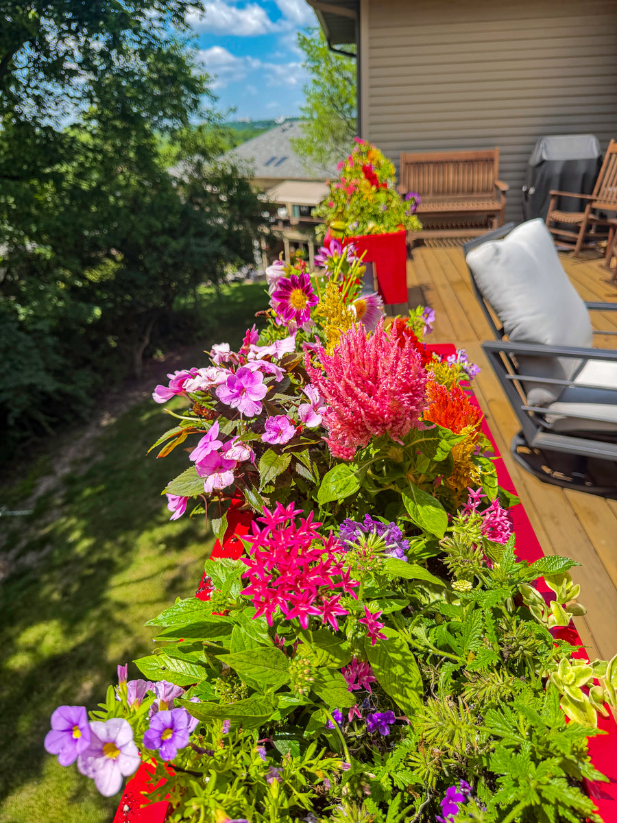 Des Moines Residence — Whole-Home Plant Design and Concierge Care detail