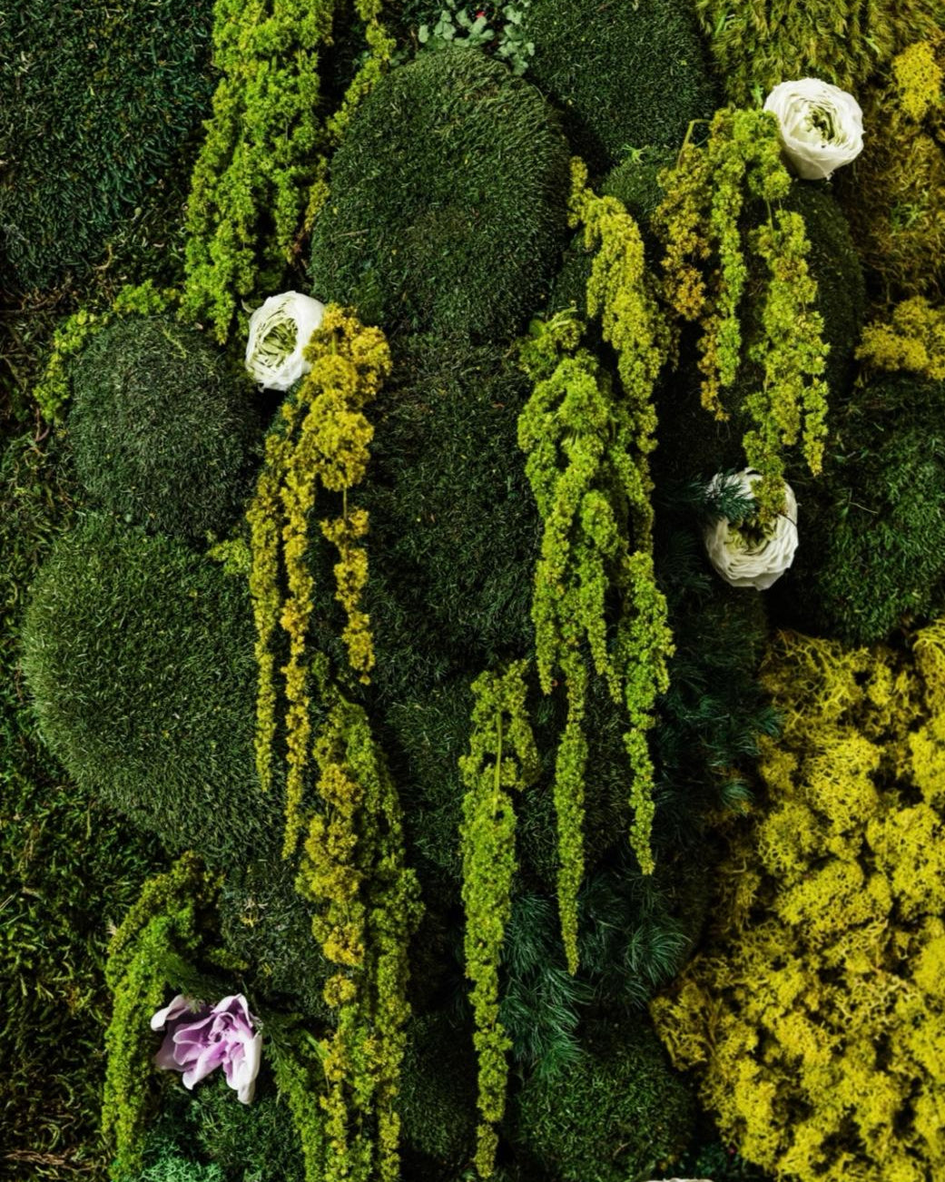 A custom moss wall decor piece showcasing preserved greenery, perfect for residential plant design and indoor vertical garden installations in Iowa.
