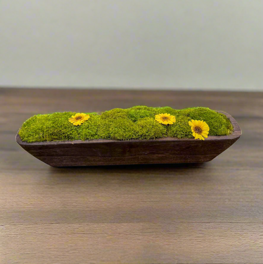Rectangular wooden trough style bowl with preserved mood moss, cushion moss, and preserved sunflower blooms arranged in a modern farmhouse kitchen. 