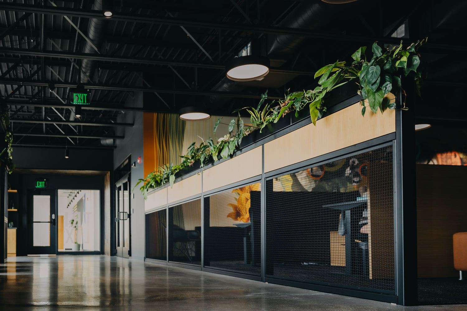 TRILIX custom living wall showcasing vibrant indoor plant decor and office plant design