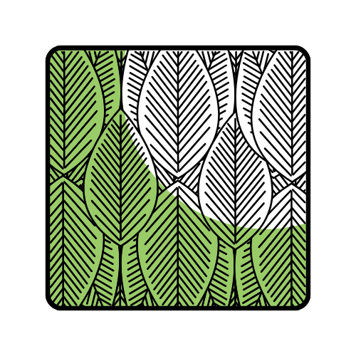 Modern moss wall decor for homes, offices, and wellness-focused interiors.