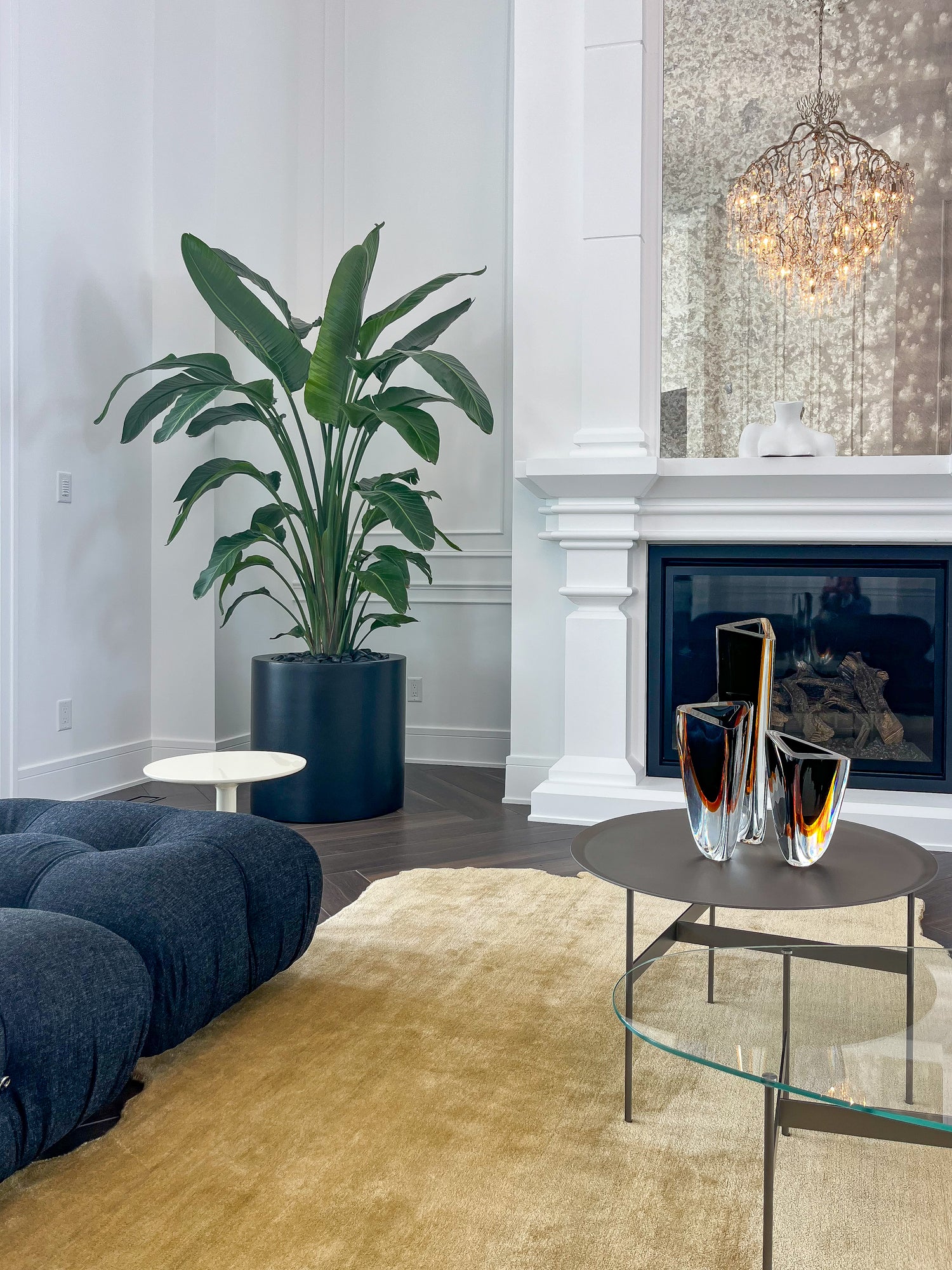 Modern living room with a blue sofa, potted extra large jumbo bird of paradise, and decorative items, residential plant maintenance, residential houseplant watering, Trendy Gardener