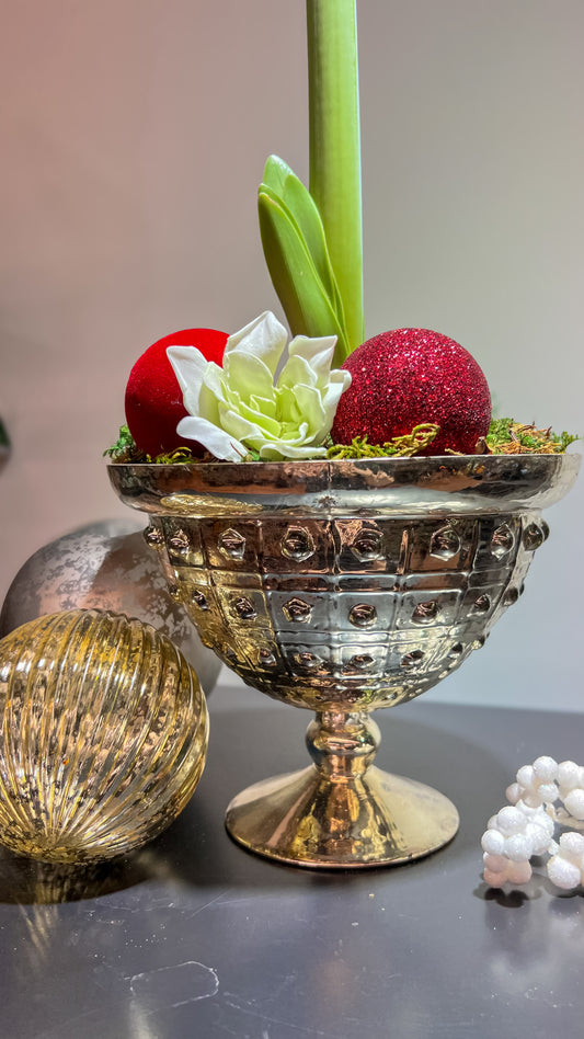 A stunning red amaryllis arranged in an elegant compote, surrounded by fresh greenery, perfect for holiday decor or gifting.