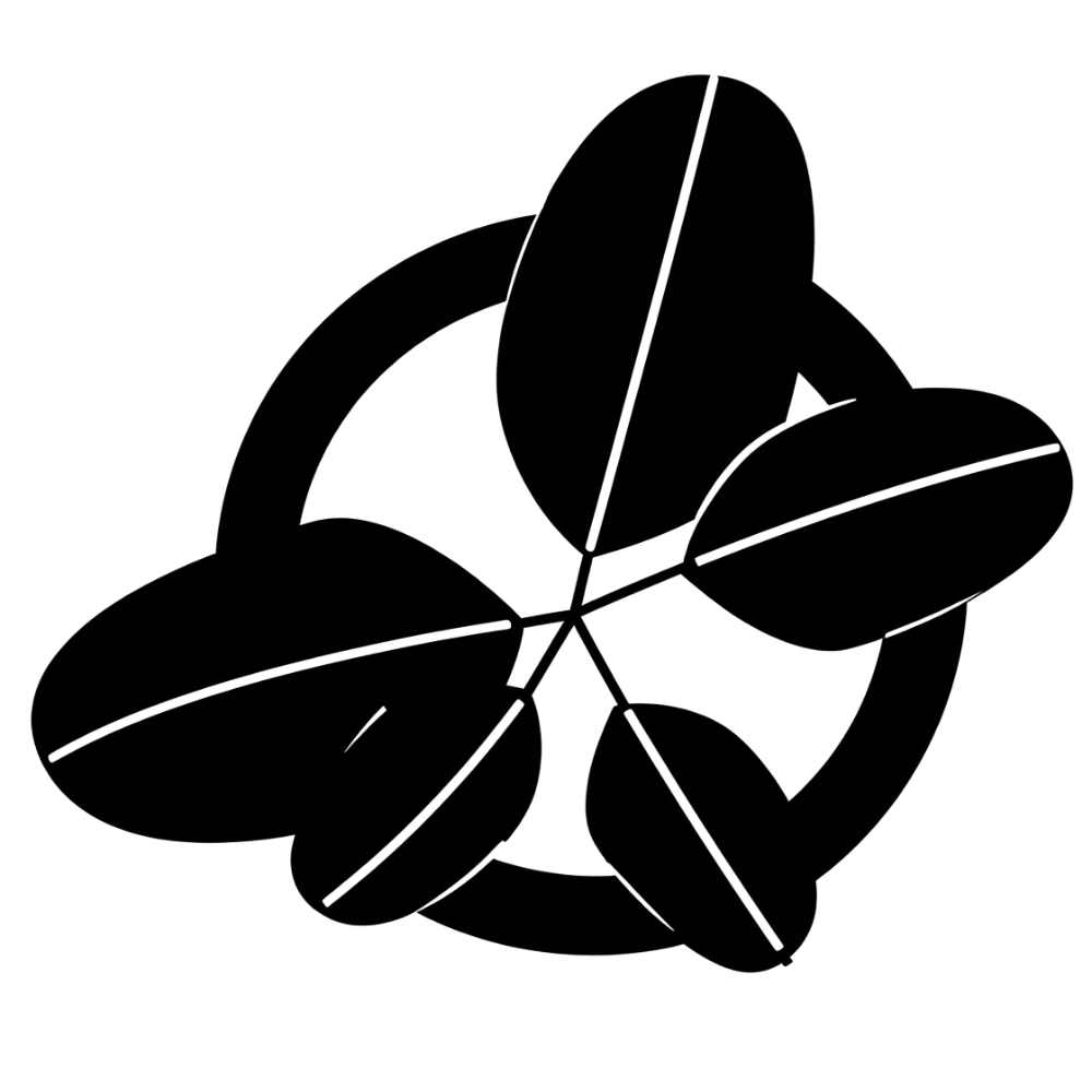feature-item-4