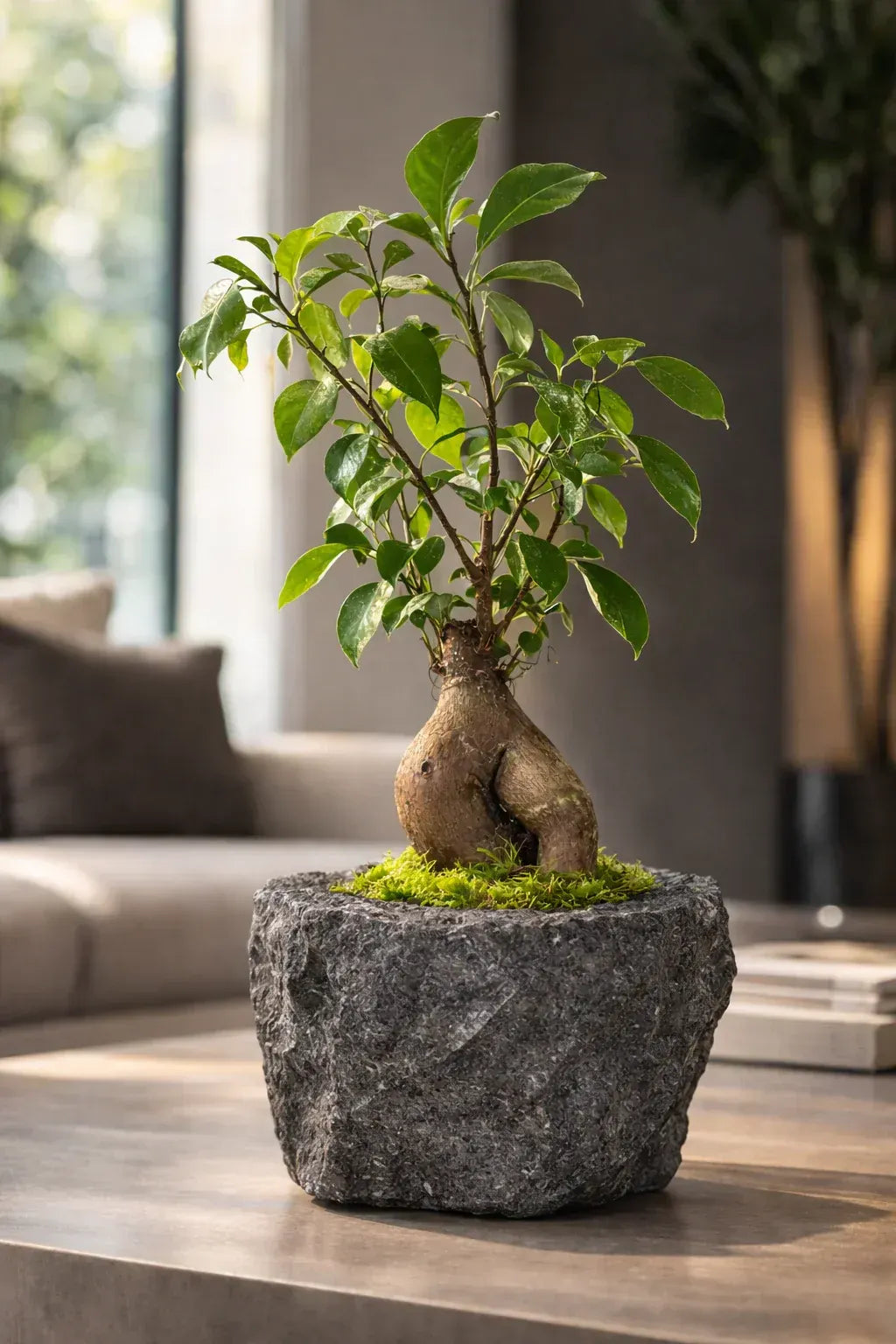 Bonsai tree in a lava rock pot on a coffee table of an elevated home. 