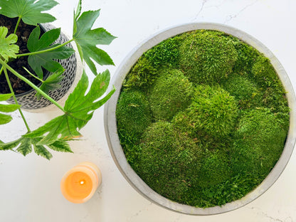 Large preserved moss center piece in an over-sized round concrete bowl. Zero-maintenance green moss decor handmade by Trendy Gardener