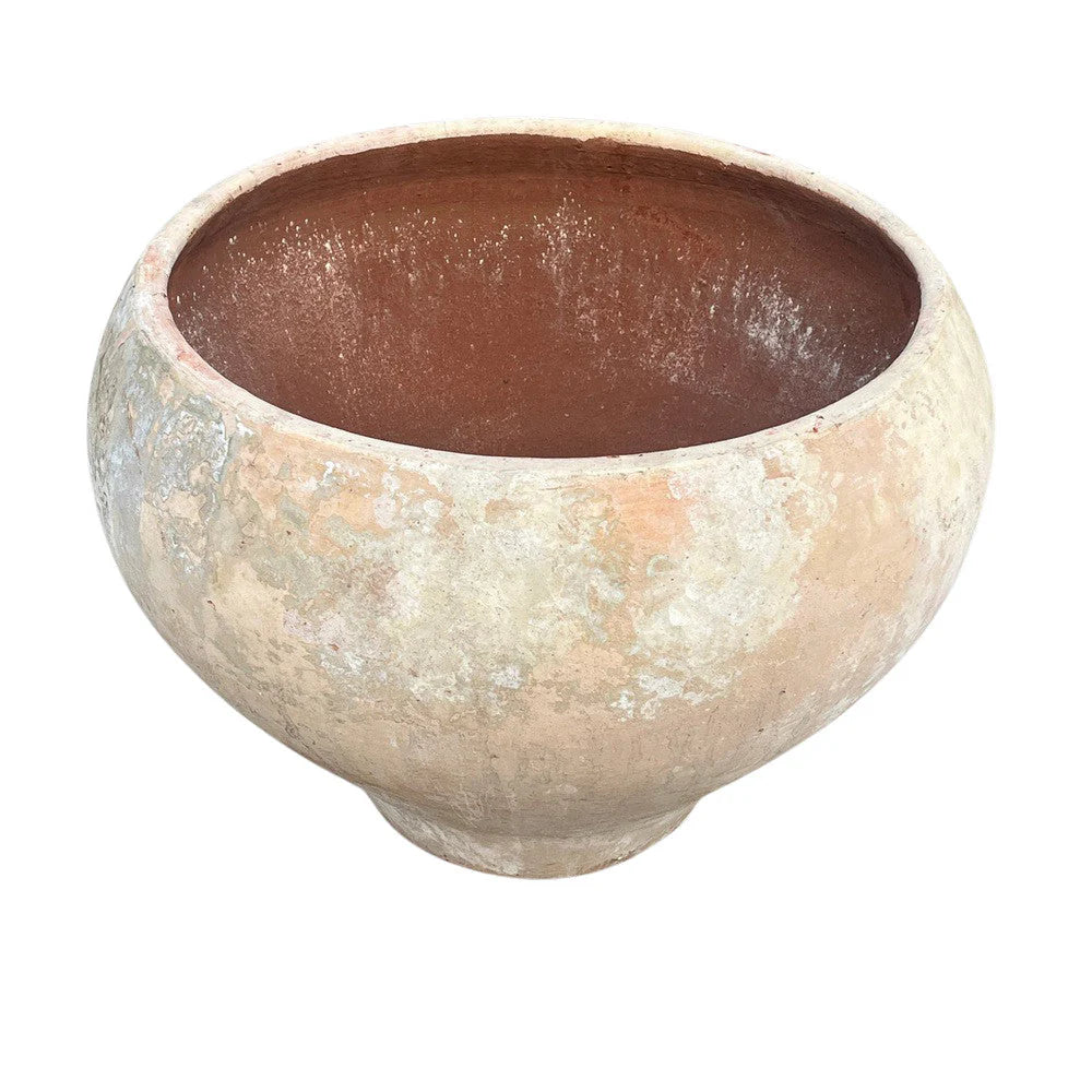 Large round terracotta planter with aged finish for olive, ficus, palm, or citrus trees