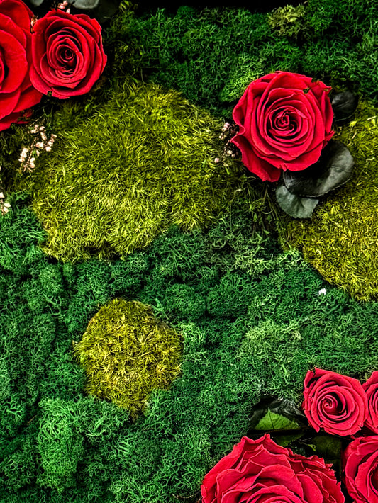 A handcrafted preserved moss wall featuring lush greenery, cascading textures, and elegant preserved roses, creating a timeless and sophisticated focal point for biophilic interior design and luxury decor spaces.