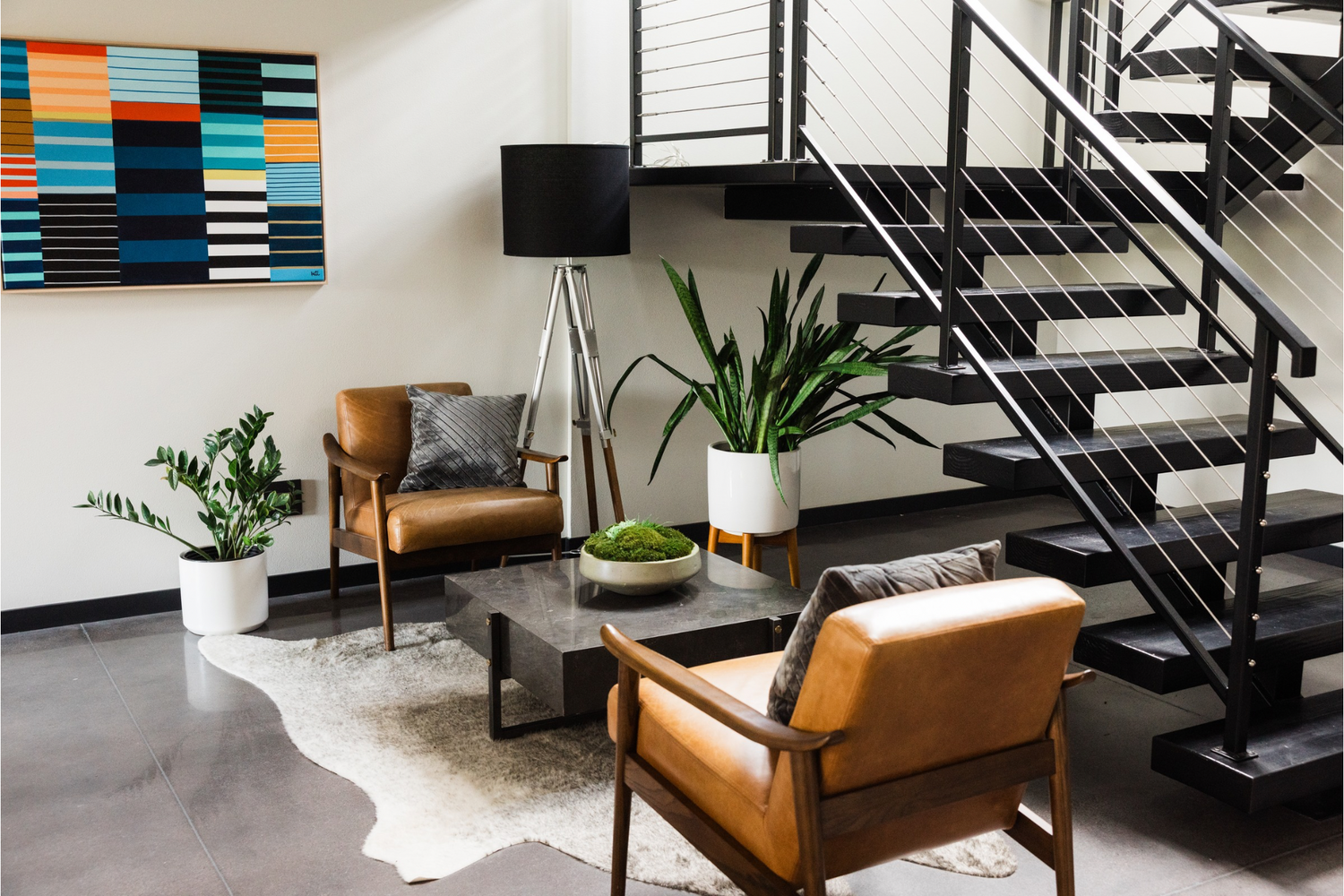High end indoor plant design is a modern residential home in Des Moines, Iowa by Trendy Gardener
